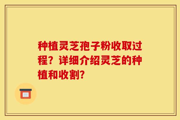 种植灵芝孢子粉收取过程？详细介绍灵芝的种植和收割？