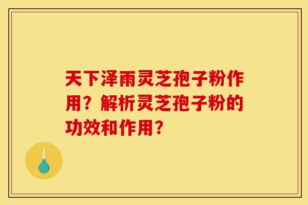 天下泽雨灵芝孢子粉作用？解析灵芝孢子粉的功效和作用？