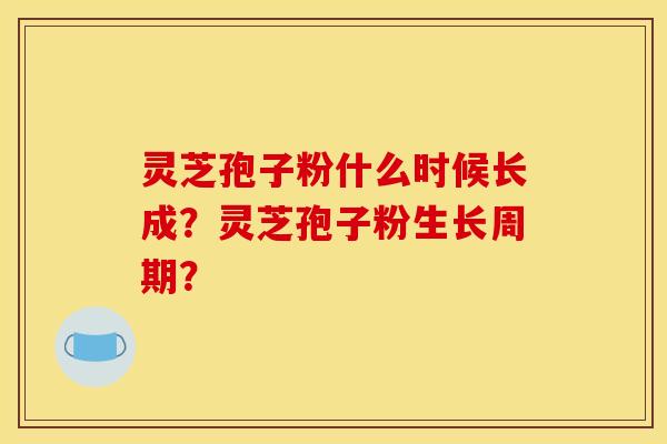 灵芝孢子粉什么时候长成？灵芝孢子粉生长周期？