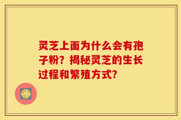 灵芝上面为什么会有孢子粉？揭秘灵芝的生长过程和繁殖方式？