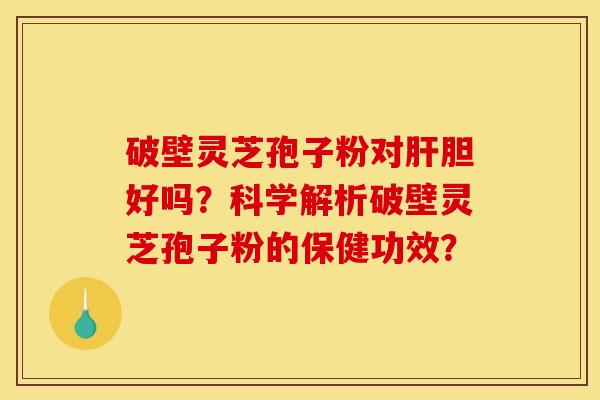 破壁灵芝孢子粉对胆好吗？科学解析破壁灵芝孢子粉的保健功效？