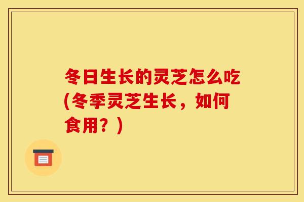 冬日生长的灵芝怎么吃(冬季灵芝生长	，如何食用？)