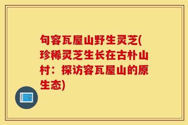 句容瓦屋山野生灵芝(珍稀灵芝生长在古朴山村：探访容瓦屋山的原生态)