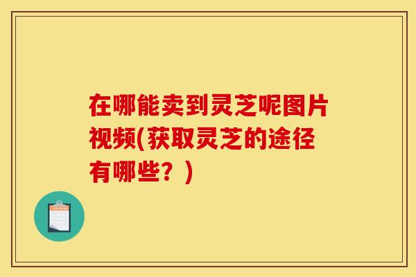 在哪能卖到灵芝呢图片视频(获取灵芝的途径有哪些？)