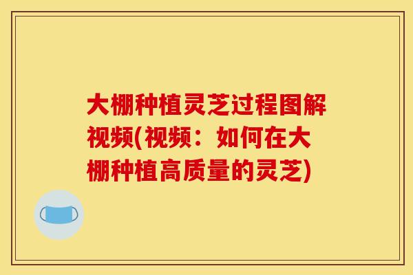大棚种植灵芝过程图解视频(视频：如何在大棚种植高质量的灵芝)