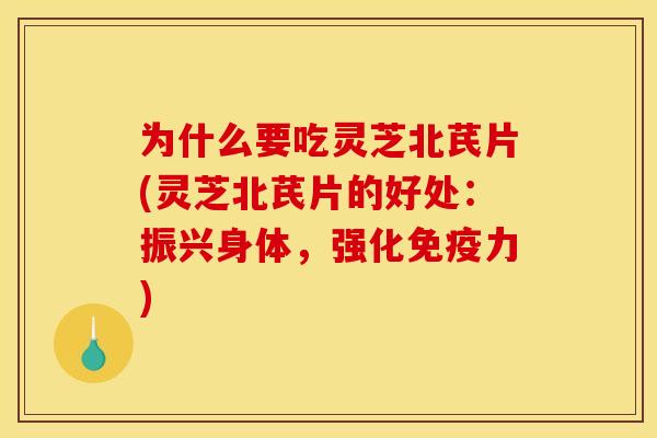 为什么要吃灵芝北芪片(灵芝北芪片的好处：振兴身体，强化免疫力)