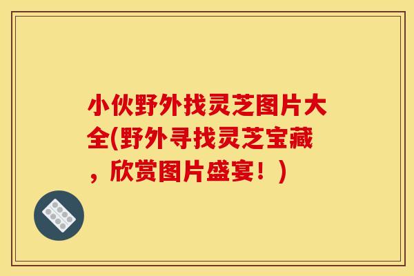 小伙野外找灵芝图片大全(野外寻找灵芝宝藏，欣赏图片盛宴！)