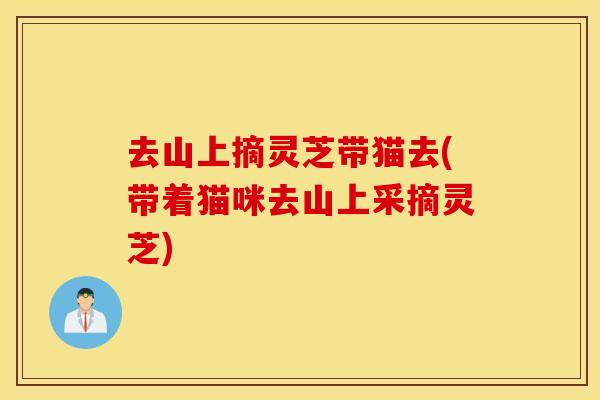 去山上摘灵芝带猫去(带着猫咪去山上采摘灵芝)
