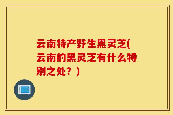 云南特产野生黑灵芝(云南的黑灵芝有什么特别之处？)