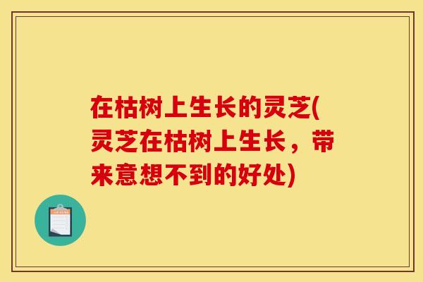 在枯树上生长的灵芝(灵芝在枯树上生长，带来意想不到的好处)