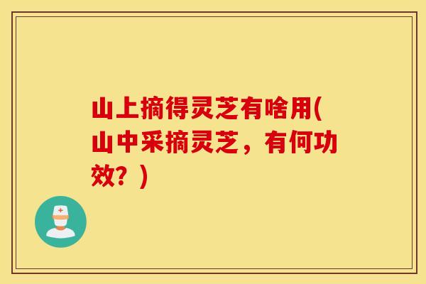 山上摘得灵芝有啥用(山中采摘灵芝，有何功效？)