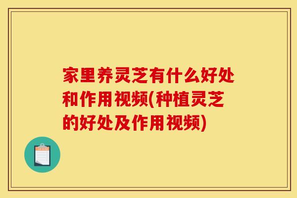 家里养灵芝有什么好处和作用视频(种植灵芝的好处及作用视频)