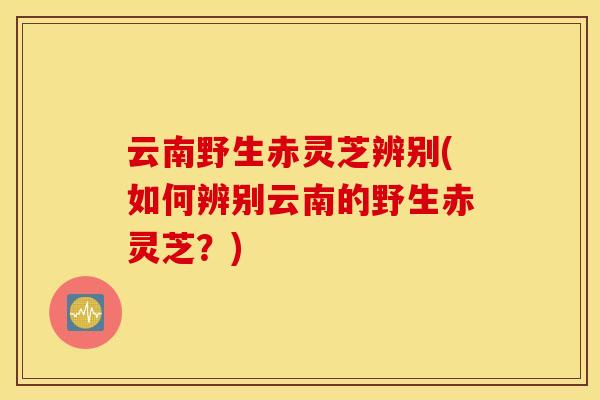 云南野生赤灵芝辨别(如何辨别云南的野生赤灵芝？)
