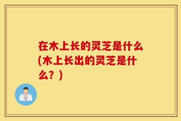在木上长的灵芝是什么(木上长出的灵芝是什么？)