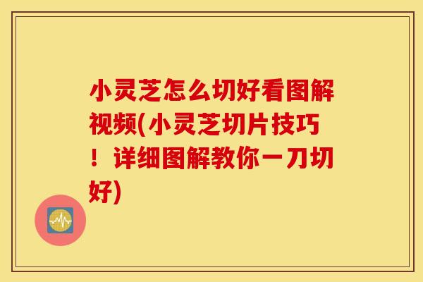 小灵芝怎么切好看图解视频(小灵芝切片技巧！详细图解教你一刀切好)