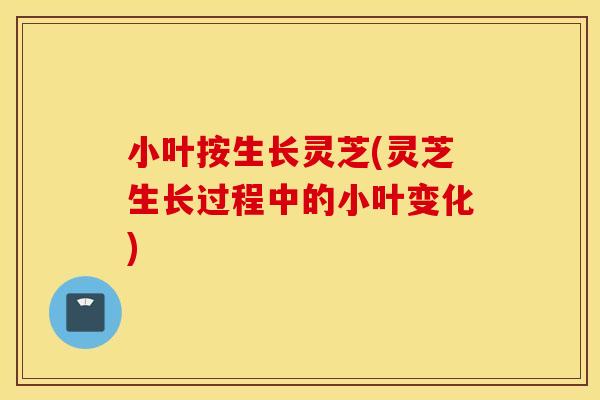 小叶按生长灵芝(灵芝生长过程中的小叶变化)