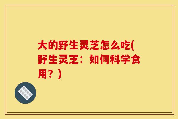 大的野生灵芝怎么吃(野生灵芝：如何科学食用？)