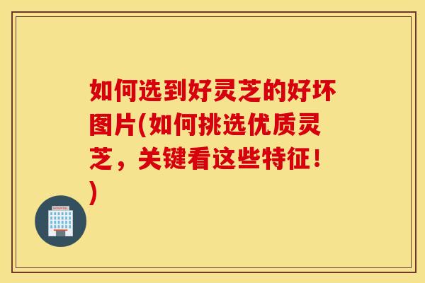 如何选到好灵芝的好坏图片(如何挑选优质灵芝	，关键看这些特征！)