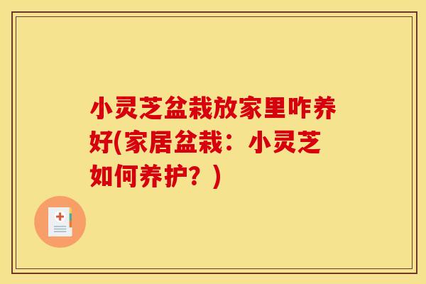 小灵芝盆栽放家里咋养好(家居盆栽：小灵芝如何养护？)