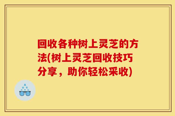 回收各种树上灵芝的方法(树上灵芝回收技巧分享，助你轻松采收)