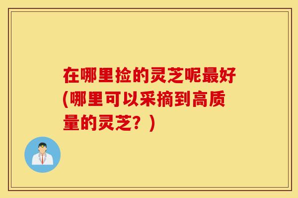 在哪里捡的灵芝呢最好(哪里可以采摘到高质量的灵芝？)