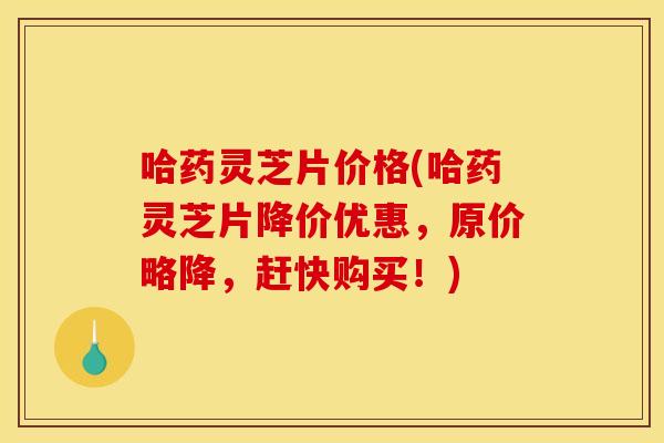 哈药灵芝片价格(哈药灵芝片降价优惠，原价略降，赶快购买！)