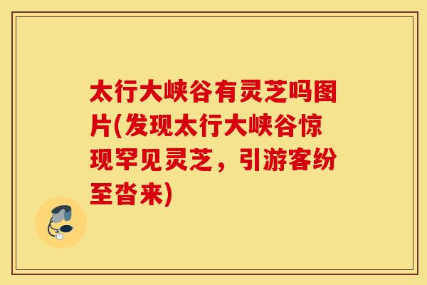 太行大峡谷有灵芝吗图片(发现太行大峡谷惊现罕见灵芝	，引游客纷至沓来)