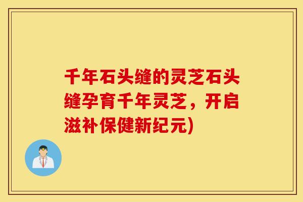 千年石头缝的灵芝石头缝孕育千年灵芝	，开启滋补保健新纪元)