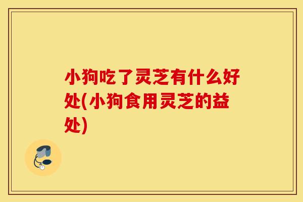 小狗吃了灵芝有什么好处(小狗食用灵芝的益处)