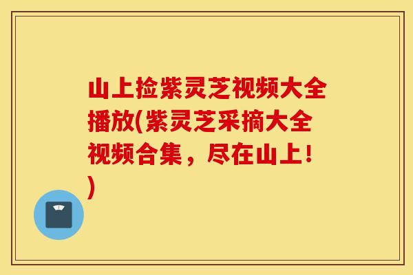山上捡紫灵芝视频大全播放(紫灵芝采摘大全视频合集，尽在山上！)