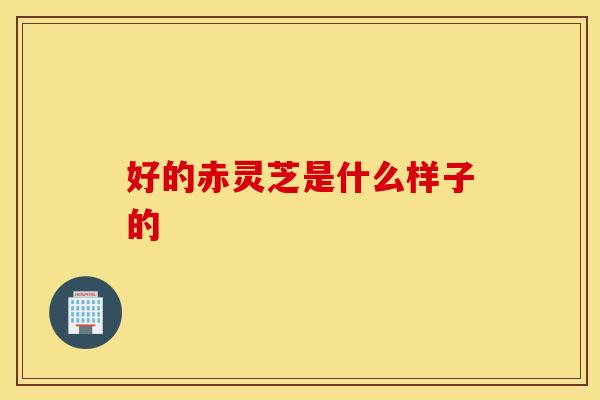 好的赤灵芝是什么样子的