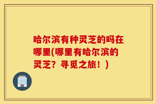 哈尔滨有种灵芝的吗在哪里(哪里有哈尔滨的灵芝？寻觅之旅！)