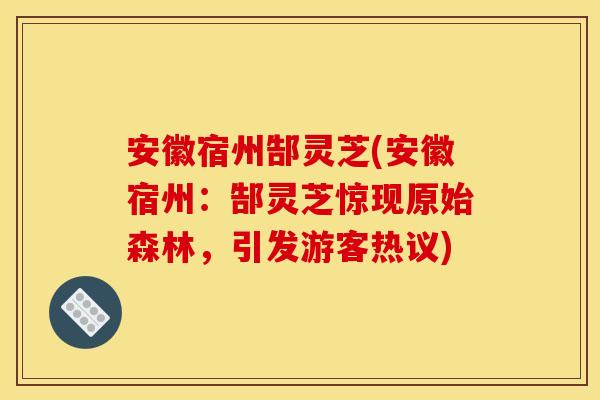 安徽宿州郜灵芝(安徽宿州：郜灵芝惊现原始森林，引发游客热议)