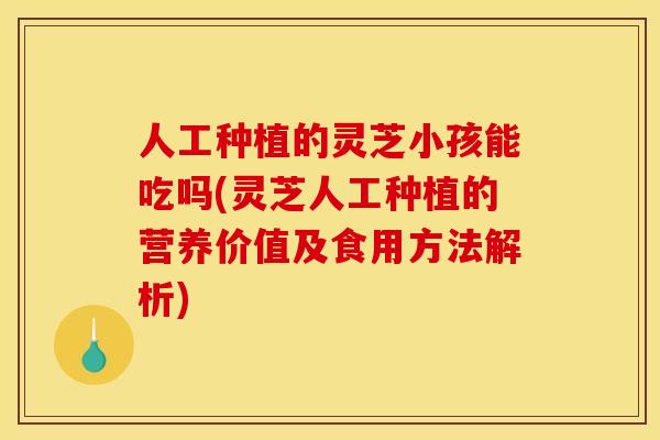 人工种植的灵芝小孩能吃吗(灵芝人工种植的营养价值及食用方法解析)