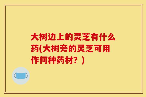 大树边上的灵芝有什么药(大树旁的灵芝可用作何种药材？)