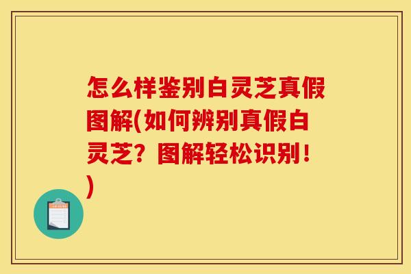 怎么样鉴别白灵芝真假图解(如何辨别真假白灵芝?图解轻松识别!) 怎么样鉴别白灵芝真假图解(如何辨别真假白灵芝?图解轻松识别!)
