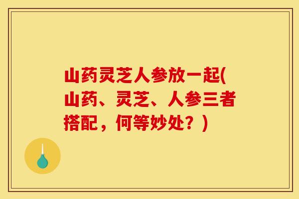 山药灵芝人参放一起(山药、灵芝、人参三者搭配,何等妙处?) 山药灵芝人参放一起(山药、灵芝、人参三者搭配,何等妙处?)