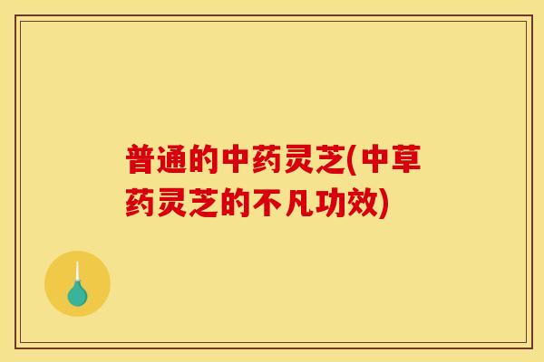 普通的中药灵芝(中草药灵芝的不凡功效) 普通的中药灵芝(中草药灵芝的不凡功效)