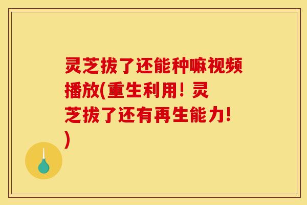 灵芝拔了还能种嘛视频播放(重生利用! 灵芝拔了还有再生能力!)