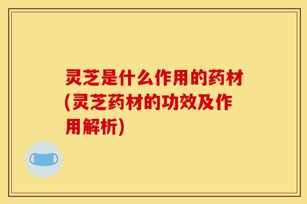 灵芝是什么作用的药材(灵芝药材的功效及作用解析)