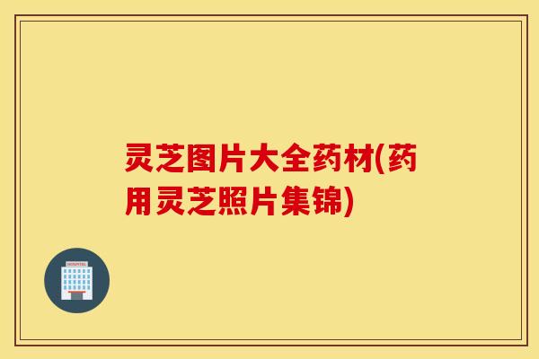灵芝图片大全药材(药用灵芝照片集锦)