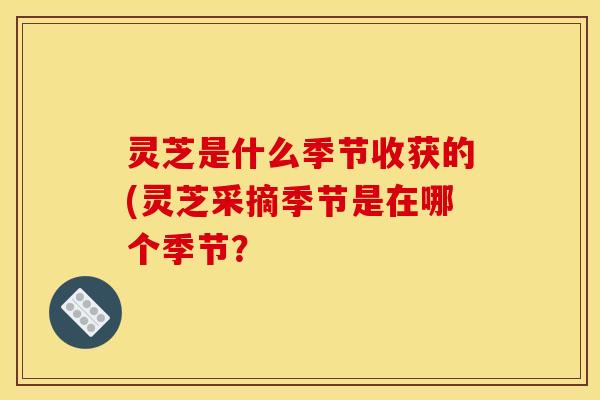 灵芝是什么季节收获的(灵芝采摘季节是在哪个季节？