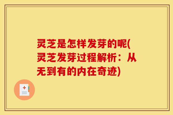 灵芝是怎样发芽的呢(灵芝发芽过程解析：从无到有的内在奇迹)
