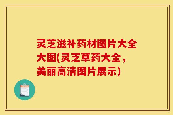 灵芝滋补药材图片大全大图(灵芝草药大全	，美丽高清图片展示)