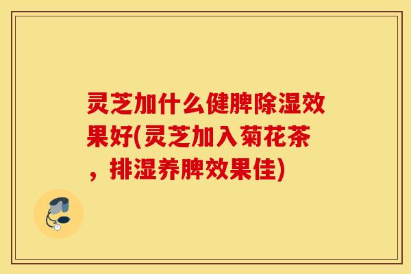 灵芝加什么健脾除湿效果好(灵芝加入菊花茶，排湿养脾效果佳)
