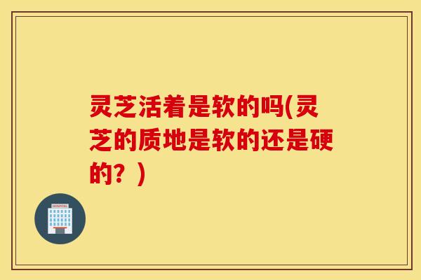 灵芝活着是软的吗(灵芝的质地是软的还是硬的？)