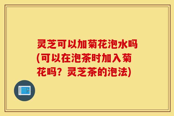 灵芝可以加菊花泡水吗(可以在泡茶时加入菊花吗？灵芝茶的泡法)