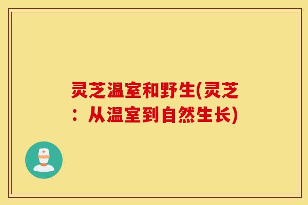 灵芝温室和野生(灵芝：从温室到自然生长)