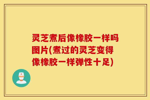 灵芝煮后像橡胶一样吗图片(煮过的灵芝变得像橡胶一样弹性十足)