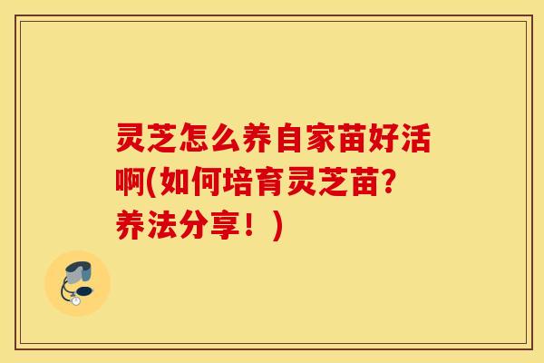 灵芝怎么养自家苗好活啊(如何培育灵芝苗？养法分享！)